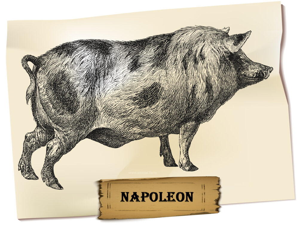 Napoleon Animal Farm Description and Analysis » www.Animal.Farm