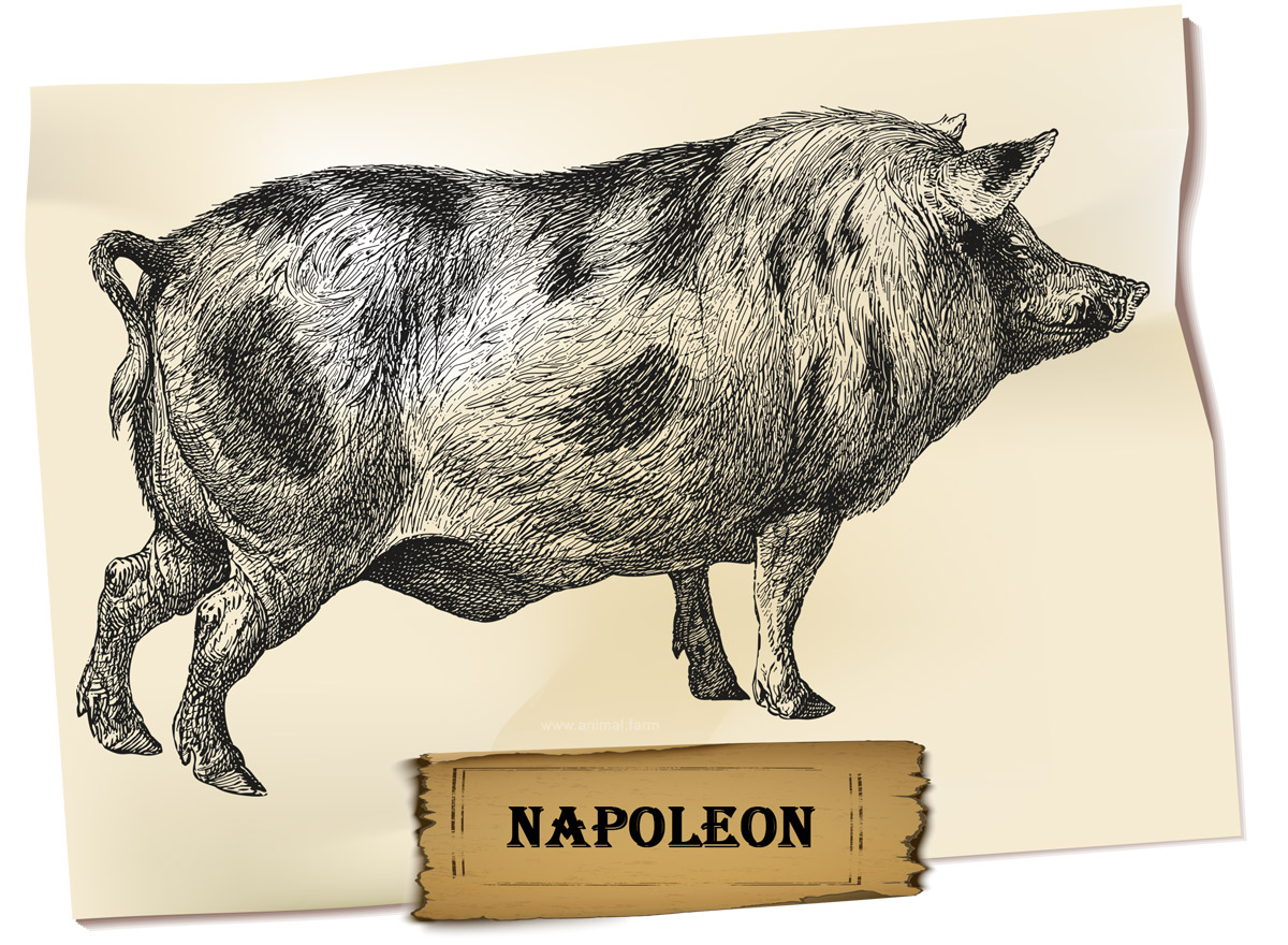 Napoleon Animal Farm Description and Analysis » 