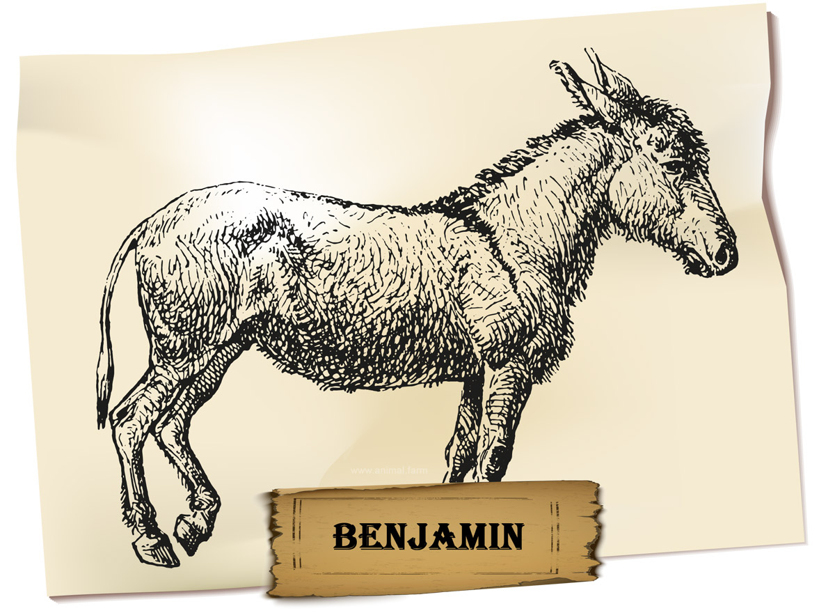 Benjamin Animal Farm Description and Analysis » 