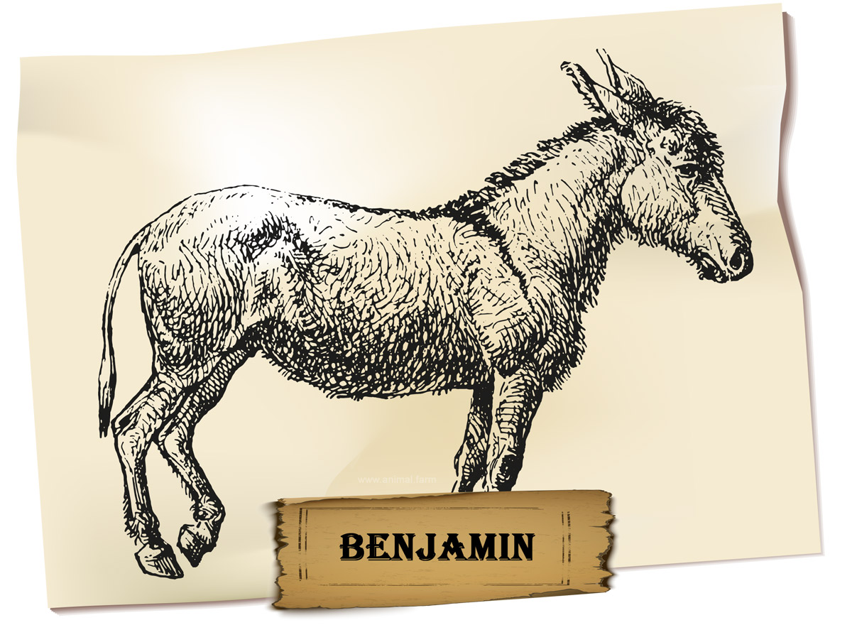 Benjamin Animal Farm Description and Analysis » Benjamin Animal Farm Description and Analysis »