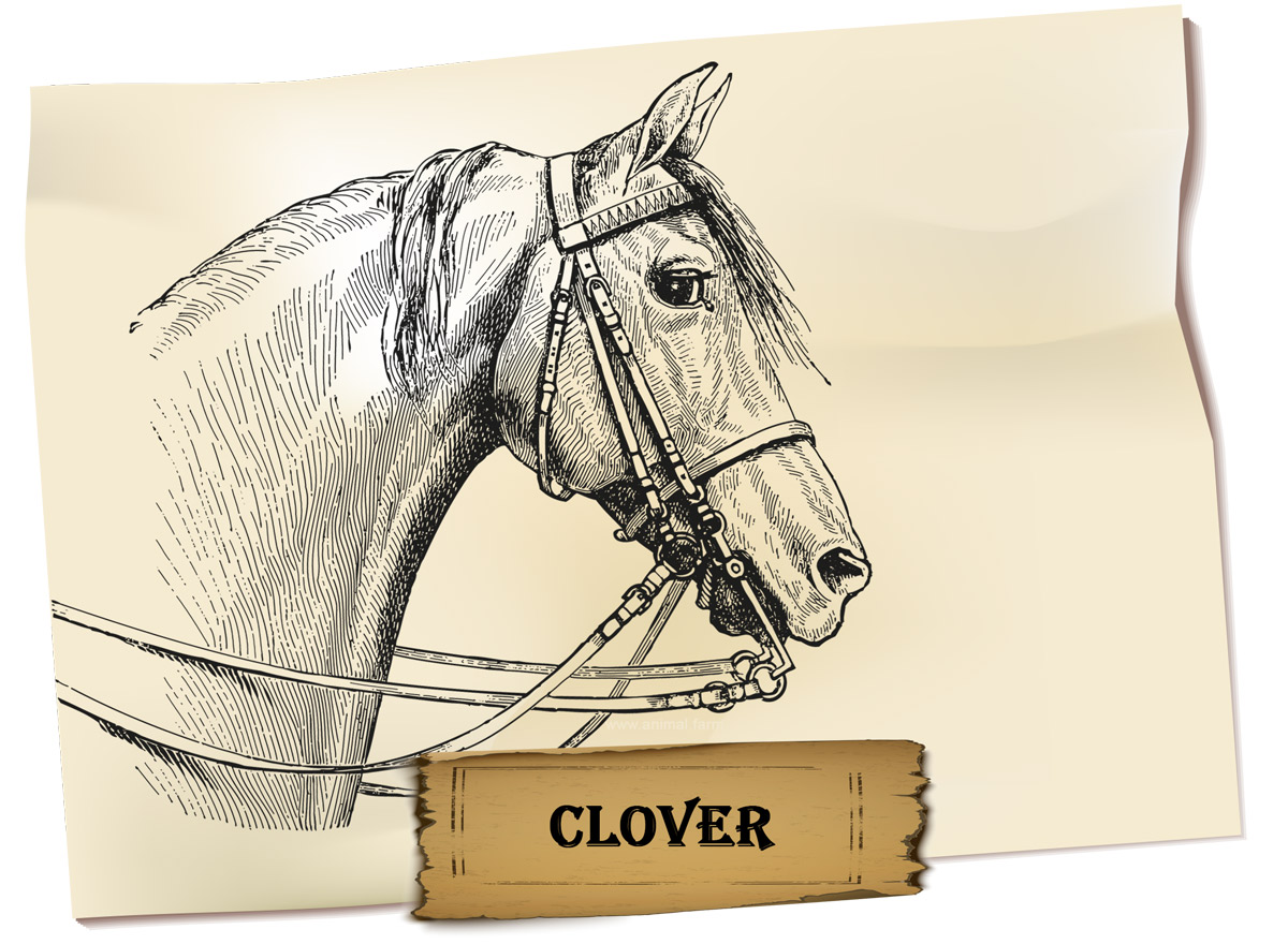 Clover Animal Farm Description and Analysis » 